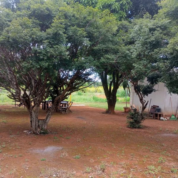 Lindo espaço para camping - Imagem 3