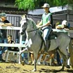 Cavalo manga larga