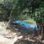 Terra beira rio