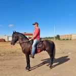 Cavalo manga larga Machador