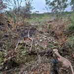 Terreno de 700m