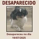 Desaparecido