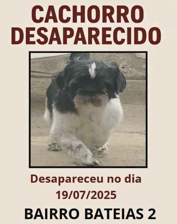 Desaparecido