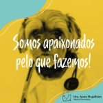 Clinica médica e odonto para cães e gatos