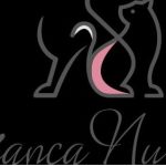 Bianca Nunes Pet sitter