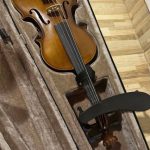 Violino