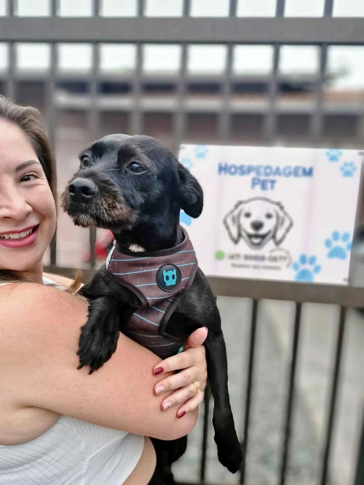 Hotel para Cachorro