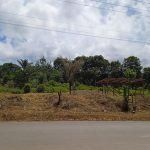 Terreno 20×50