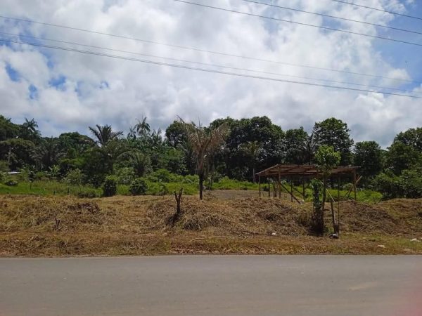 Terreno 20x50