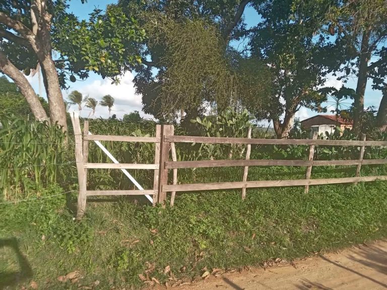 Terreno a venda