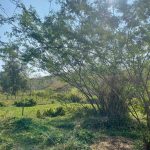Excelente lote em Matias Barbosa (Divisa com o Hotel fazenda castelinho) 600m2