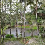 Área para SITIO CHÁCARA CONDOMINIO HOTEL FAZENDA no vila nova