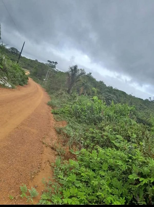 Terreno (zona rural) 20 X 80
