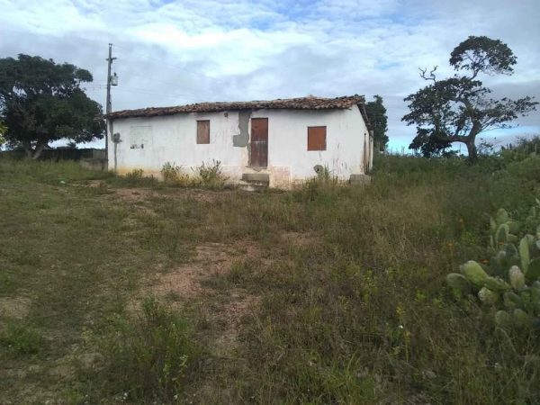 Sitio entre lajedo e olho d'água dos pombos são duas tarefa de terra.