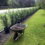 Vaga para função de jardineiro início imediato