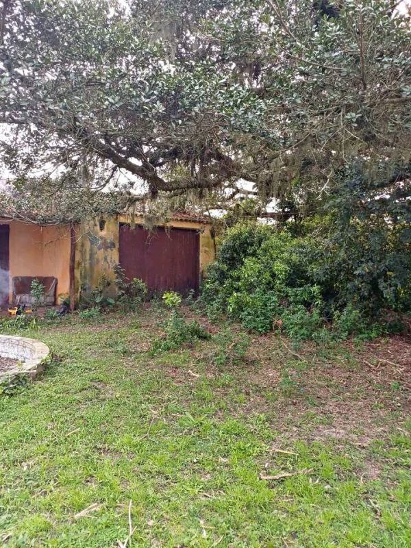 OFERTA SÍTIO 1/4 HECTARE - Imagem 2