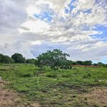 Lote 400m2 na Matinha