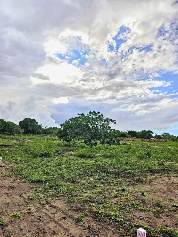 Lote 400m2 na Matinha