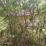 Sitio