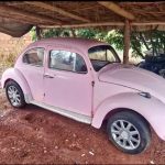 Fusca rosa
