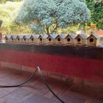Casinha para passarinho