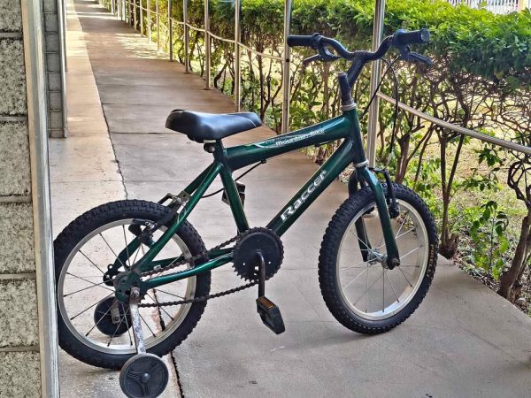Vendo bicicleta infantil aro 16 - Impecável