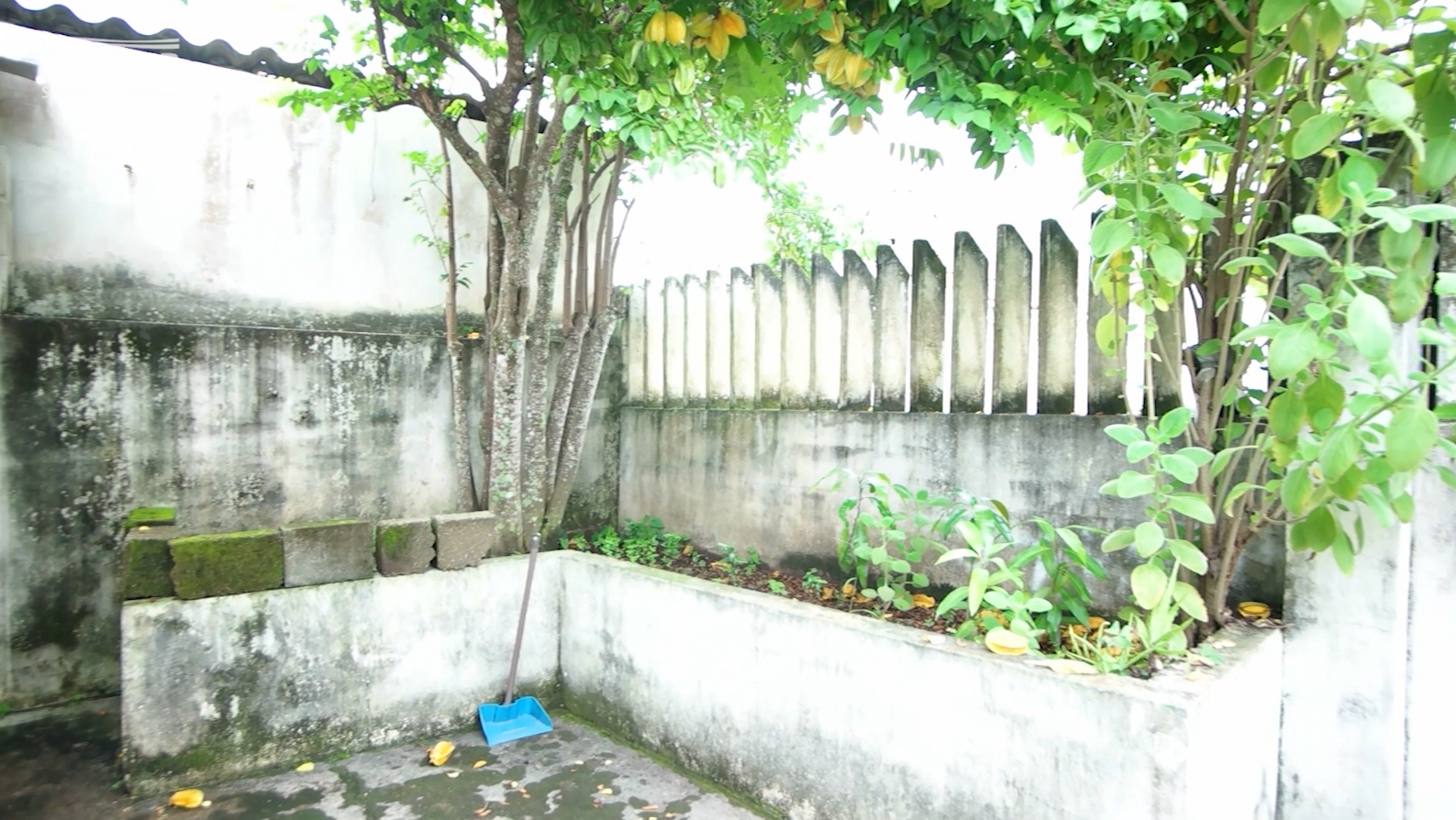 IT331 Casa Praia do Sonho Itanhaém - Imagem 6