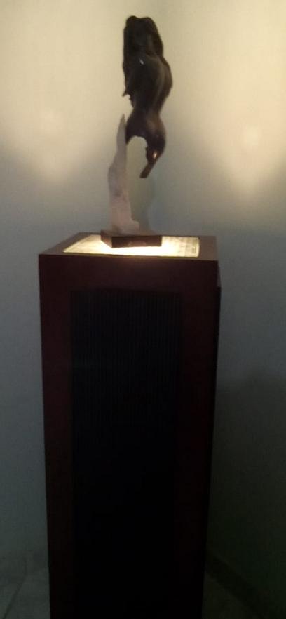 R$ 500,00 - ESTATUETA FEITA EXCLUSIVAMENTE ANTIQUA DE R$ 1.300,00 POR R$ 500 - Imagem 5